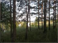 Пушкарі з panoramio.com