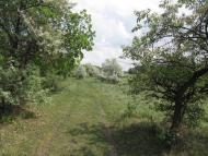 Львів з panoramio.com