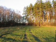 Булахівка з panoramio.com - Булаховка