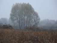 Березань з panoramio.com