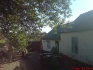 Новоборовиці - Останні фото