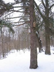 Микільське з panoramio.com