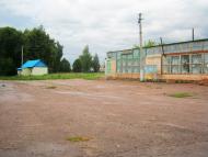 Деревини - Останні фото