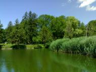 Брусниця з panoramio.com