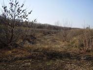 Весняне з panoramio.com