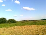 Федорівка - Останні фото