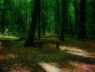 Будище з panoramio.com