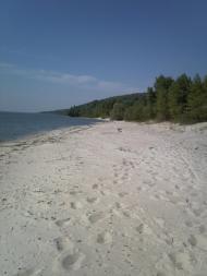 Васютинці з panoramio.com