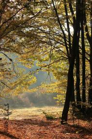 Смига з panoramio.com