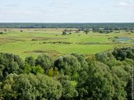 Мезин з panoramio.com