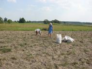 Станіславчик з panoramio.com