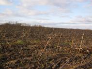 Гайдари з panoramio.com
