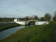 Березань з panoramio.com