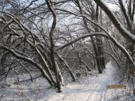 Донець з panoramio.com