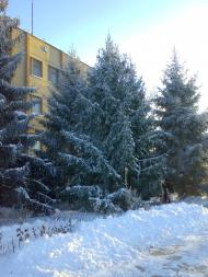 Петрівське з panoramio.com