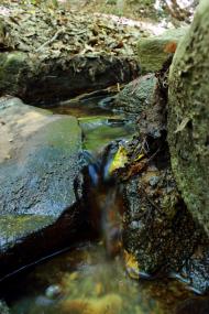 Учебне з panoramio.com