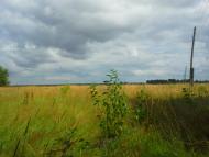 Вирка з panoramio.com