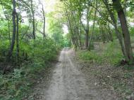 Остапенки з panoramio.com