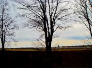 Терезине з panoramio.com