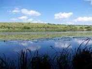 Львів з panoramio.com