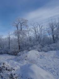 Усатове з panoramio.com