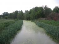 Тимченки з panoramio.com