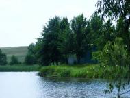 Вороне з panoramio.com