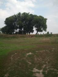 Харпачка з panoramio.com