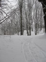 Понінка з panoramio.com