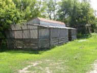 Мишарівка - Останні фото