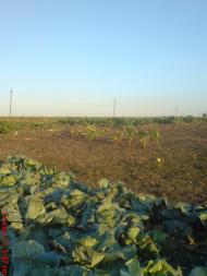 Новоборовиці - Останні фото