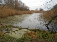 Деменці з panoramio.com