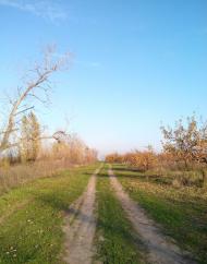 Придніпрянське з panoramio.com