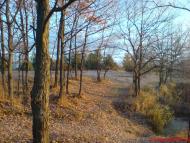 Ковалин з panoramio.com