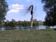 Дубинове з panoramio.com