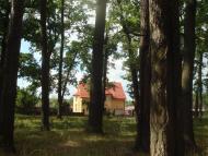 Кодра з panoramio.com