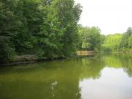 Рибальське з panoramio.com