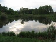 Тимченки з panoramio.com