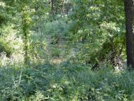 Ушівка з panoramio.com