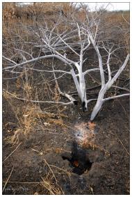 Суходільськ з panoramio.com