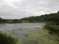 Мохновка - Последние фото