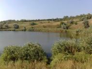 Gubynykha - Latest photos