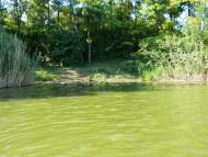 Федорівка - Останні фото