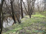 Федорівка з panoramio.com