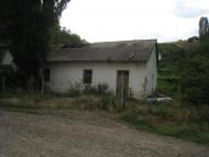 Ворон з panoramio.com