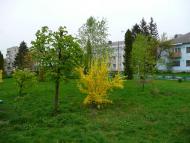 Дубровиця з panoramio.com