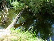 Кукулівка з panoramio.com