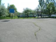 Шишкине з panoramio.com