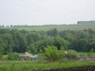 Кинашове з panoramio.com