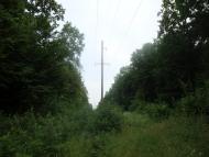 Великі Коровинці з panoramio.com